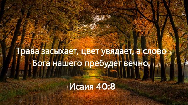 Библия! Слово Бога! смотреть онлайн