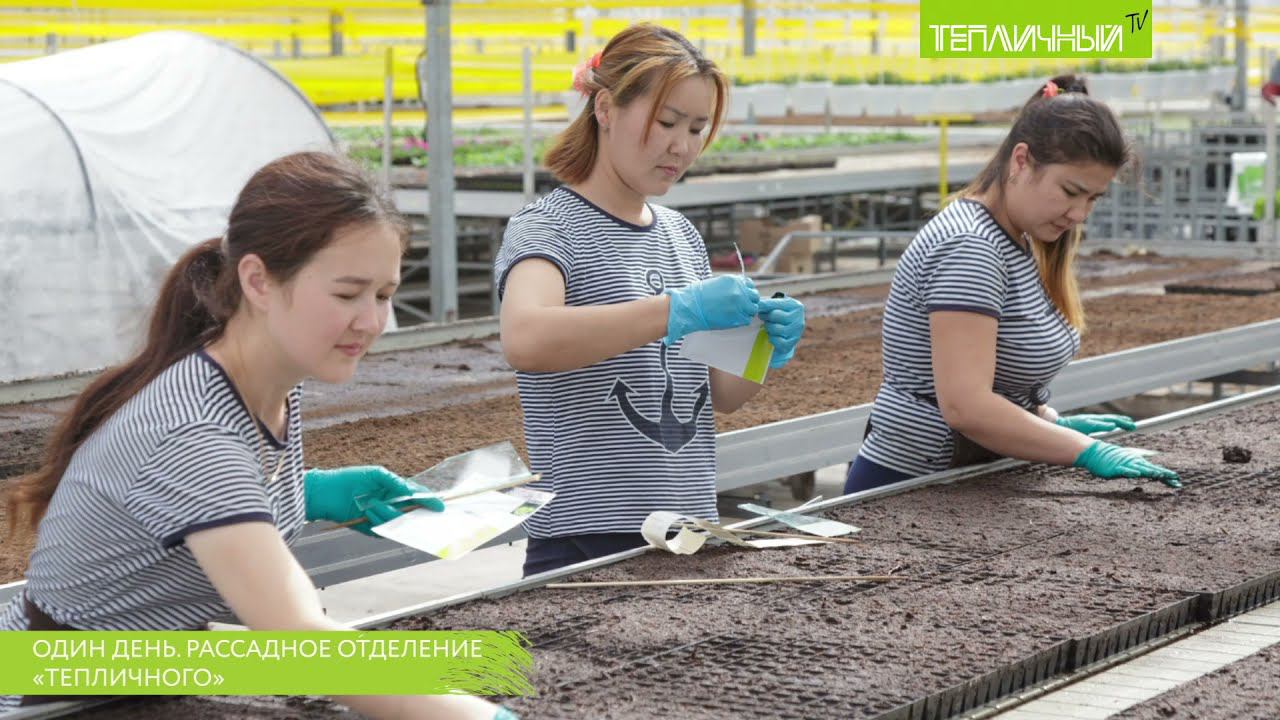 Где рождаются растения: Один день рассадного отделения в объективе фотокамеры смотреть онлайн