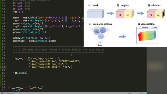 openCARP - Overview of workflow - Part1 смотреть онлайн