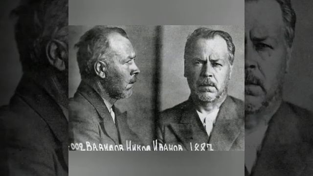 Есенин. Часть 11. Мейерхольд-Райх смотреть онлайн