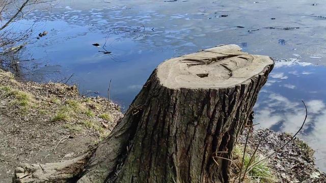 Зимняя рыбалка или відчайдухі на льду в Вінниці 👍 Україна 🇺🇦 Ukraine❤️ 22 февраля 2022 г.👀❄️🔥 смотреть онлайн