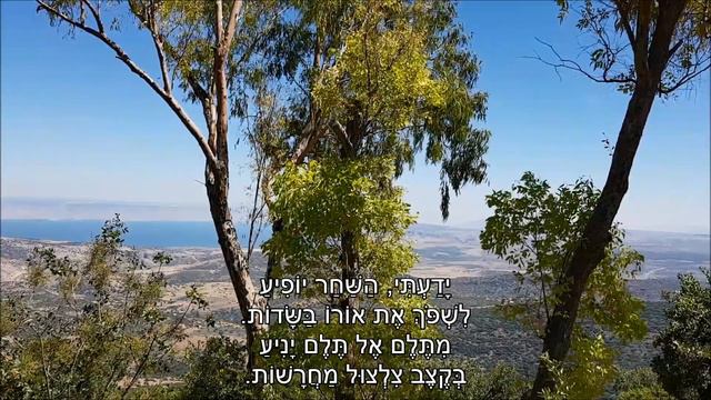 שיר עד - כנרת - מילים: אלכסנדר פן | לחן: מרדכי זעירא | ביצוע: עוזי מאירי - Uzi Meiri смотреть онлайн