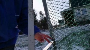 ТАКАЯ ШПАЛЕРА НУЖНА ВСЕМ | ОПОРА ДЛЯ ОГУРЦОВ И ФАСОЛИ СВОИМИ РУКАМИ