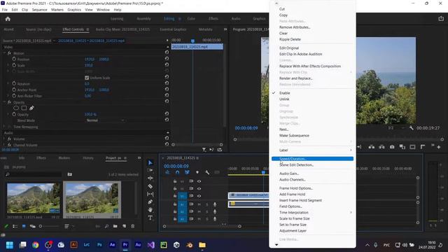 Как сделать видео в обратную сторону в Premiere Pro | Reverse (Реверс) speed смотреть онлайн