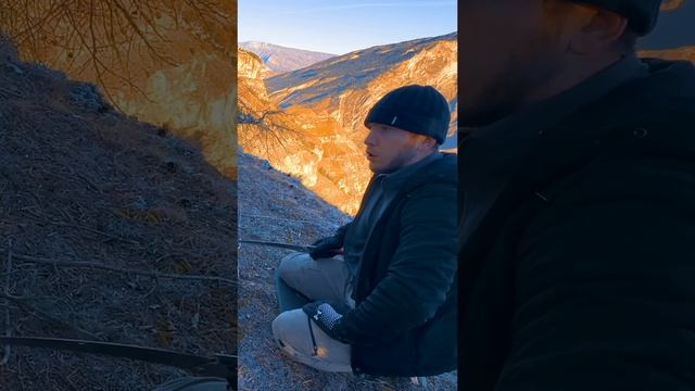 Silky Bigboi и Fiskars x17 ? ? ?️ ОЦЕНКА смотреть онлайн