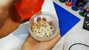 ? КУПИЛ МУРАВЬЁВ ЗИМОЙ РАСПАКОВКА МУРАВЬЁВ МОИ ПЕРВЫЕ МУРАВЬИ МУРАВЬИ ЖНЕЦЫ Messor structor