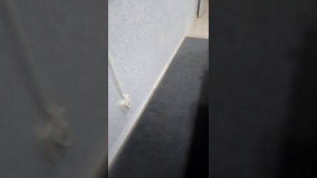 Как Кира не даёт мне снимать видео, и, мама, не, хочет, бархатные, тяги