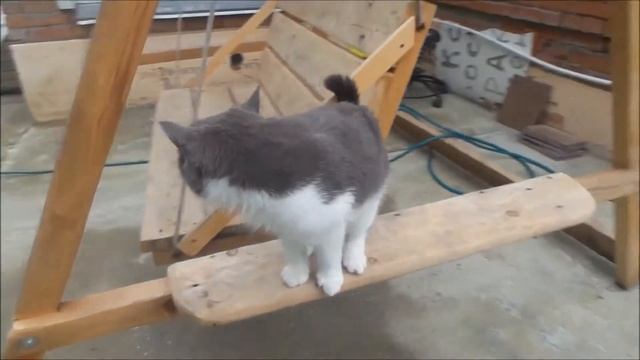 Улыбка кота. Серия 5. Мосик сел на качели. А что? Кот тоже человек смотреть онлайн