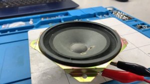 Паль динамика Samsung 15W, превышение в 10 раз