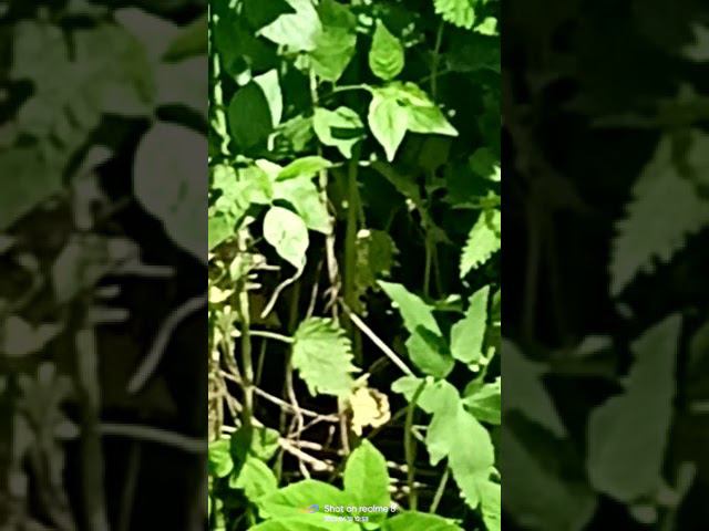 19 июня 2022 г. смотреть онлайн