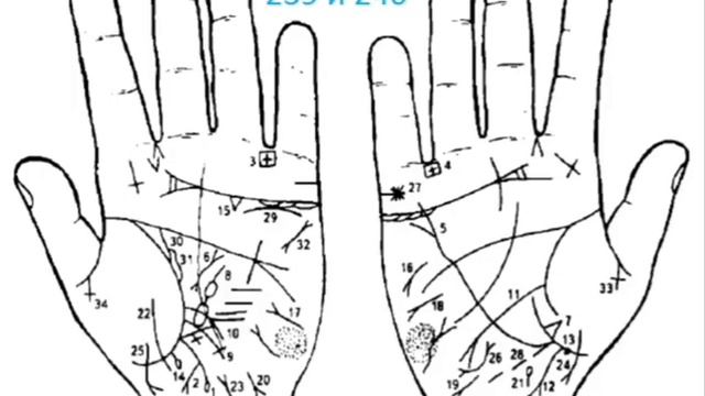 № 11. Д.Н. Стояновский. Диагностика заболеваний по кожным рисункам ладони смотреть онлайн