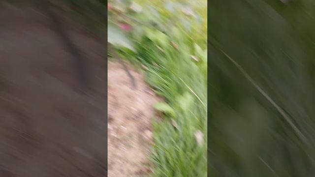 Белорусское сладкое смотреть онлайн