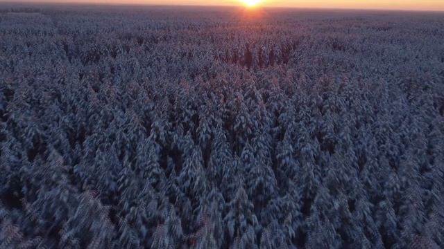 Релакc|Зимний лес|relax|soothingrelaxation|Красота зимнего леса|relaxingmusic