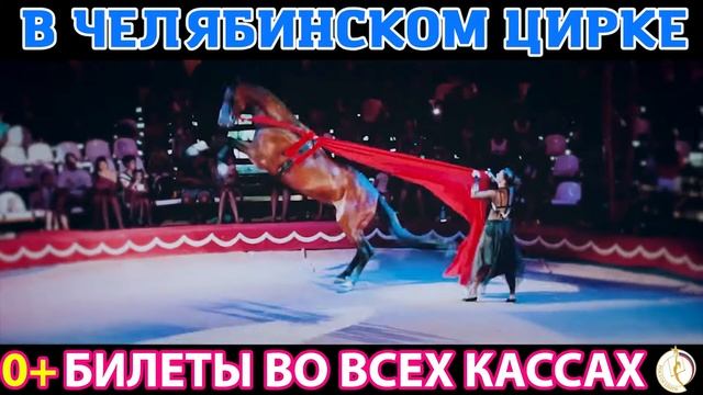 Шоу слонов великанов