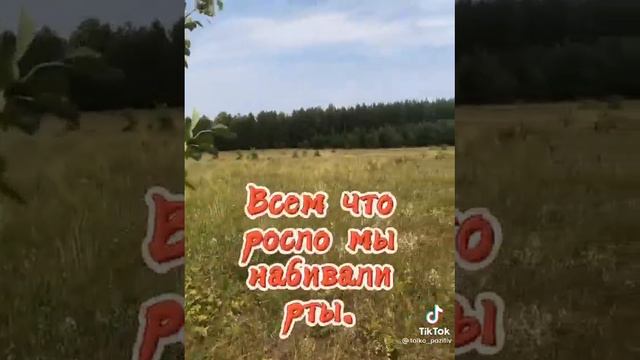 Когда деревья были большими... смотреть онлайн