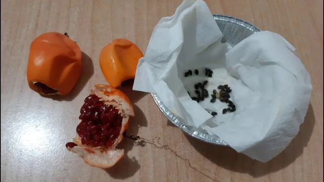 Passiflora смотреть онлайн