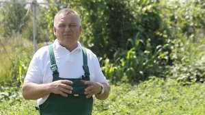 ТОП-5 препаратов от вредителей на картофеле