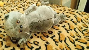 ОБЗОР ОДЕЖДЫ БАСИКОВ