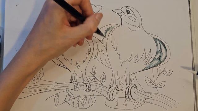 Как нарисовать птичек, рисунок с нуля. смотреть онлайн