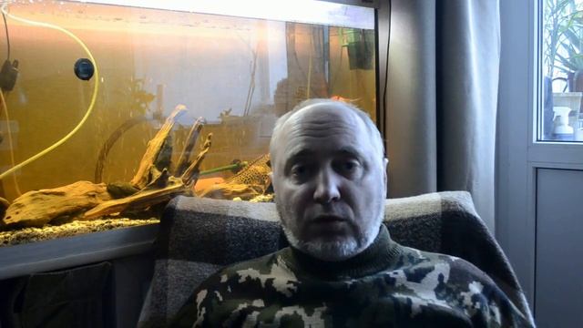 Сколько петухов держать в хозяйстве? смотреть онлайн