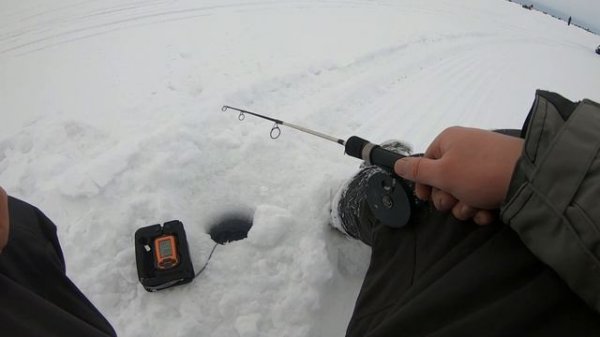 Тест блесен ECOPRO! Купил ЭХОЛОТ! Рыбалка на судака на снегоходе.