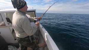 Морская рыбалка в Баренцовом море | Ура-Губа | Как поймать треску летом