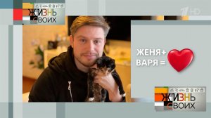 "Теперь Варя живет со мной", - ведущий взял котенка с Курильских островов. Жизнь своих. Фрагмент ...