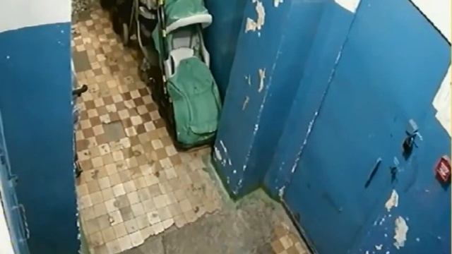 Даже медведи в ужасе от Архангельского ЖКХ смотреть онлайн