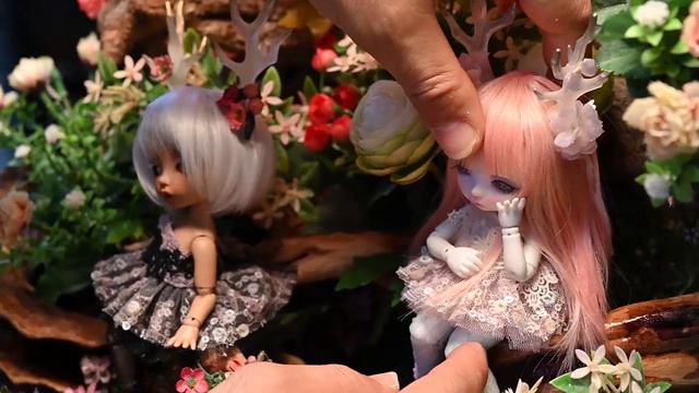 CP/FairyLand [PukiFee] Ena 'Dryad - Black & White' Preview (FHD) смотреть онлайн