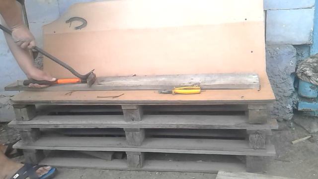 Растительный мир: путешествия и знакомства