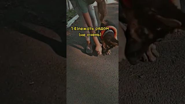 все команды Луны смотреть онлайн
