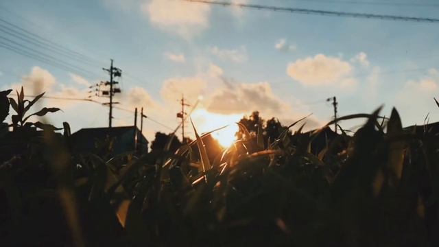 Pendakian Gunung Fujiyama | Japan | Cinematic смотреть онлайн