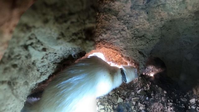 Ferrets Hunting Rabbits - The Working Ferret 2 - 100K Silver Play Button смотреть онлайн