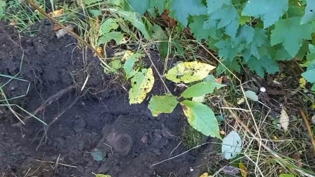 Коп металлолома. 7 сентября 2023 года. начинаю всё заново.