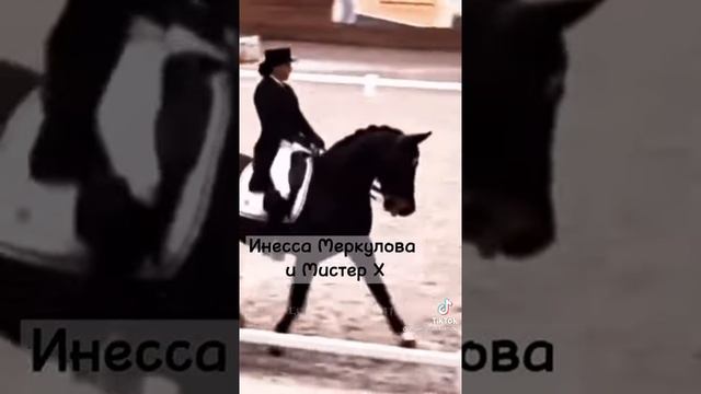 знаменитые пары конного спорта)) #лошади #конныйспорт смотреть онлайн