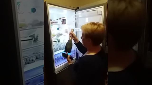 Холодильник beko RCNA366R30ZX NeoFrost с технологией EverFresh+ смотреть онлайн