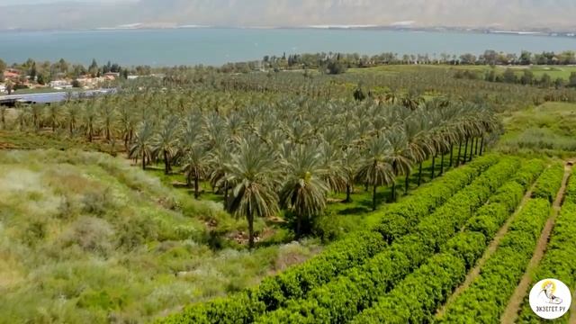 Почему Петр и Андрей все бросили и сразу пошли за Христом? Толкования святых. смотреть онлайн