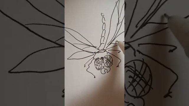 Рисуем стрекозу в ракурсе. Скетч гелевой ручкой и акварелью :) смотреть онлайн