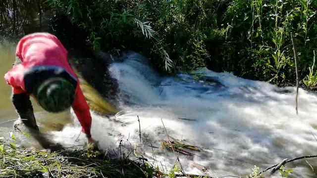Разбираю плотину бобров. ДЕНЬ ПЕРВЫЙ, плотина дальняя. смотреть онлайн