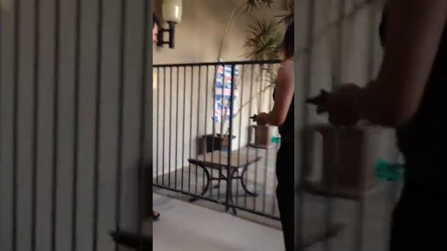 Русские в Лос Анджелесе смотреть онлайн