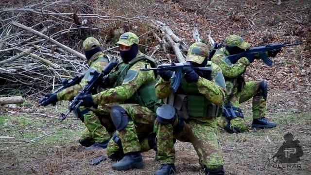 ПРАВИЛЬНОЕ ОБЩЕНИЕ в ТАРКОВЕ / ВСЕ ВАЖНЫЕ ТАКТИКУЛ ФРАЗЫ / ШКОЛА ТАКТИКУЛА 412ТБ / Урок 3 #2 смотреть онлайн
