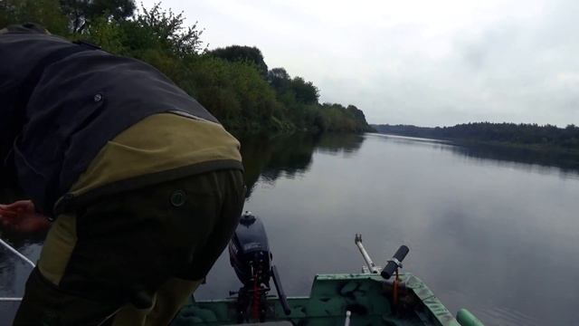 Ловля рыбы в проводку на Пшеницу/Беларусь. смотреть онлайн