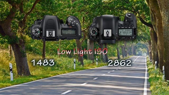 Canon 6D Mark II vs Nikon D7500 in hindi What Should I Buy to Start a Photography Business смотреть онлайн