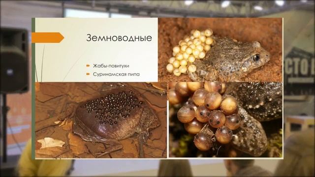 Иван Поликарпов - Уют в мире животных | РНА смотреть онлайн