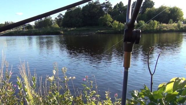 Ловля окуней на живца в июле на Канале им Москвы смотреть онлайн