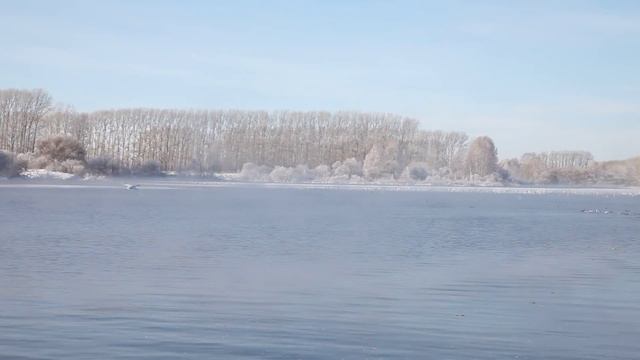 Полет лебедя смотреть онлайн