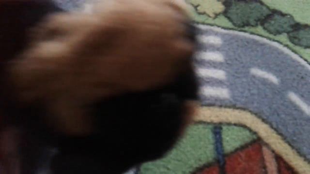 Murphy remembers Silent Hill 6 смотреть онлайн