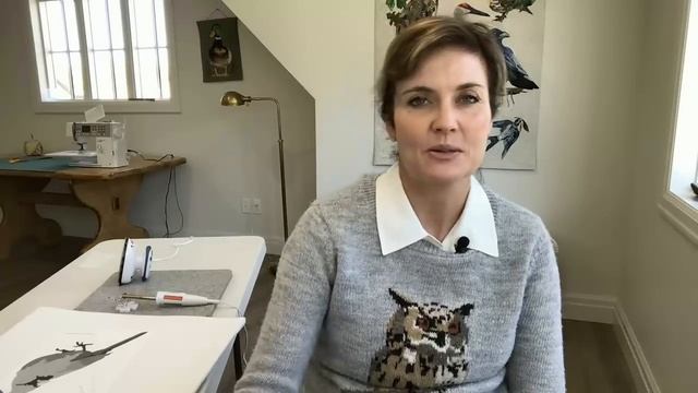 Tutorial for Making the Winter Cardinal Project смотреть онлайн