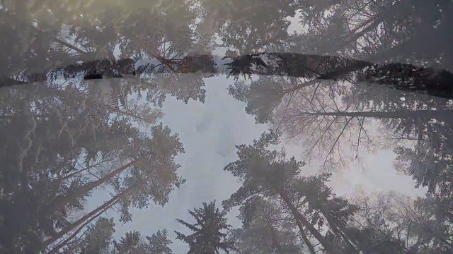 Когда рыба не клюет смотреть онлайн