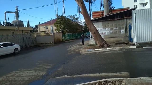 Сочи. Весна идет... смотреть онлайн